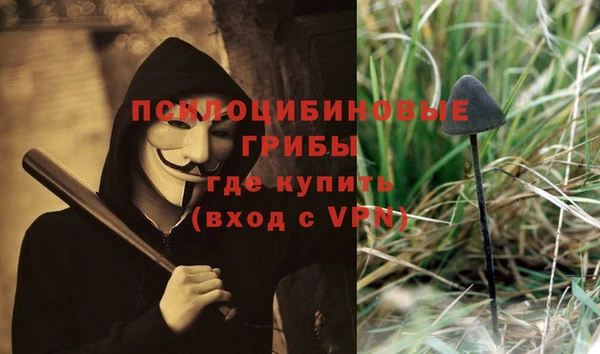 каннабис Алексин