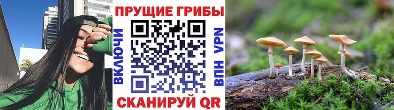 Псилоцибиновые грибы MAGIC MUSHROOMS  Сарапул 